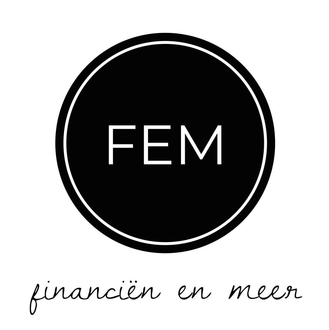 F.E.M. Financiën en Meer